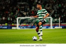 文班亚马21分布朗27分 马刺100-95险胜凯尔特人